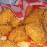 Albatroz Comida
