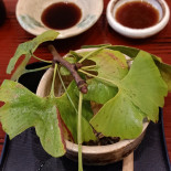 Kanazawa Bebida