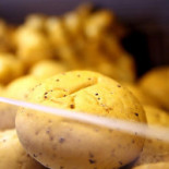 Maria Batata Boisson