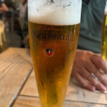 Acordeão Boisson