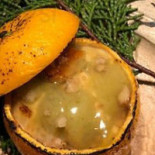 Do Baiano Comida