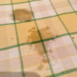 O Cangalho Carta