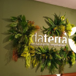 Daterra Vegetariano Boisson