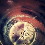 Laurear Boisson