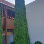 Tamula Exterior