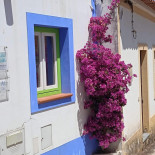Retiro do Adelino Exterior
