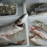 Sabor a Mar Bebida