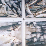 Sabor a Mar Bebida