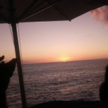 Zion Project Bebida