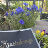 Krustakrogs Cardápio
