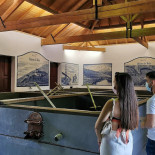 Quinta Do Tedo Bebida
