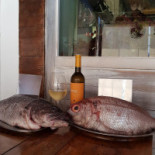 Alvor Wine Bebida