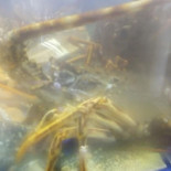 A Cabana Marisqueira Nourriture