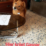 Manjar Da Helena Boisson