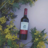 O Mercado Boisson