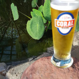 A Levada Bebida