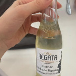 Regata Boisson