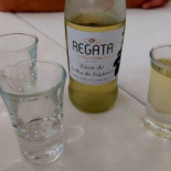 Regata Boisson