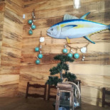 Bluefin Exterior