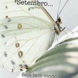 Café Império Bebida