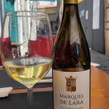 Nocha's Tapas Wine Bebida