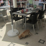 Sol E Serra À l'intérieur