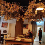 Taberna D'vila Dentro