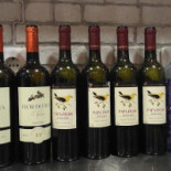 Taberna Saloia Bebida