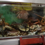 O Beicinho Comida