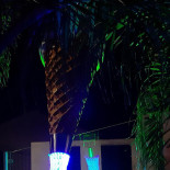 Garden Side Pizzaria Extérieur