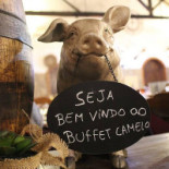 O Camelo Bebida