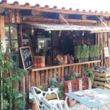 O Camelo Exterior