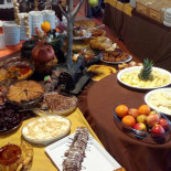 O Camelo Comida