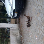 Avenida Outside