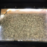Santo Gula Carte