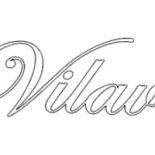 Vilavi Logo
