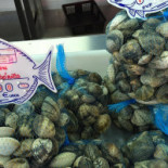 R. Sousa Mariscos Bebida