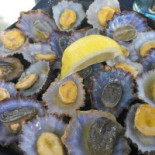 Portinho Nourriture