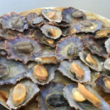 Portinho Nourriture