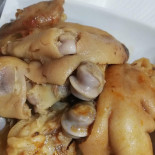 Petz Comida