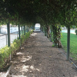 Pousada De Beja Exterior