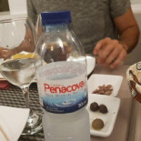 Tia Bé Bebida