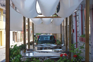 Margarida outside