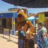 Scooby's Pool Exterior