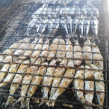 Taste Of Kykos Cibo