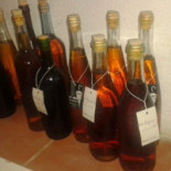 Abrigo Da Floresta Bebida
