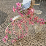 Tacho à Mesa Exterior