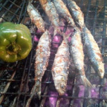 Taberna Do 7 Nourriture