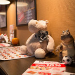 Npetiscos Do Leo Bebida