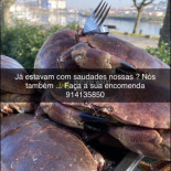 Garfo Torto O Carte